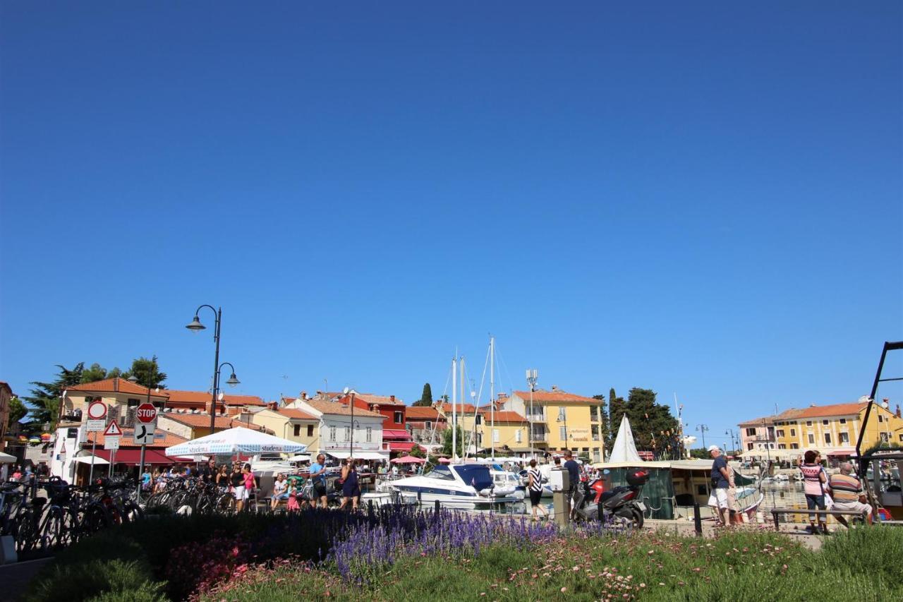Gianna N2, 600 M From The Beach Novigrad  Zewnętrze zdjęcie