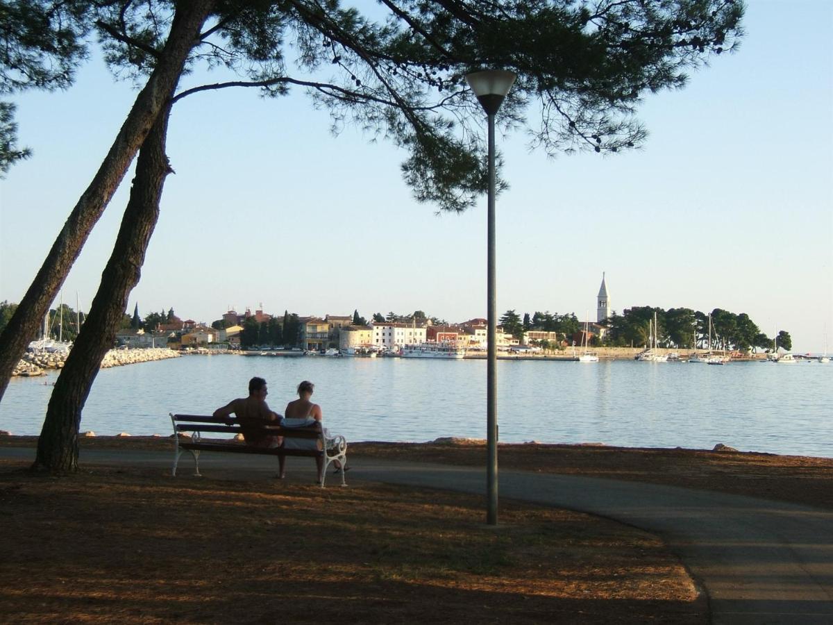 Gianna N2, 600 M From The Beach Novigrad  Zewnętrze zdjęcie