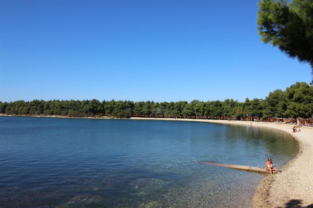 Gianna N2, 600 M From The Beach Novigrad  Zewnętrze zdjęcie